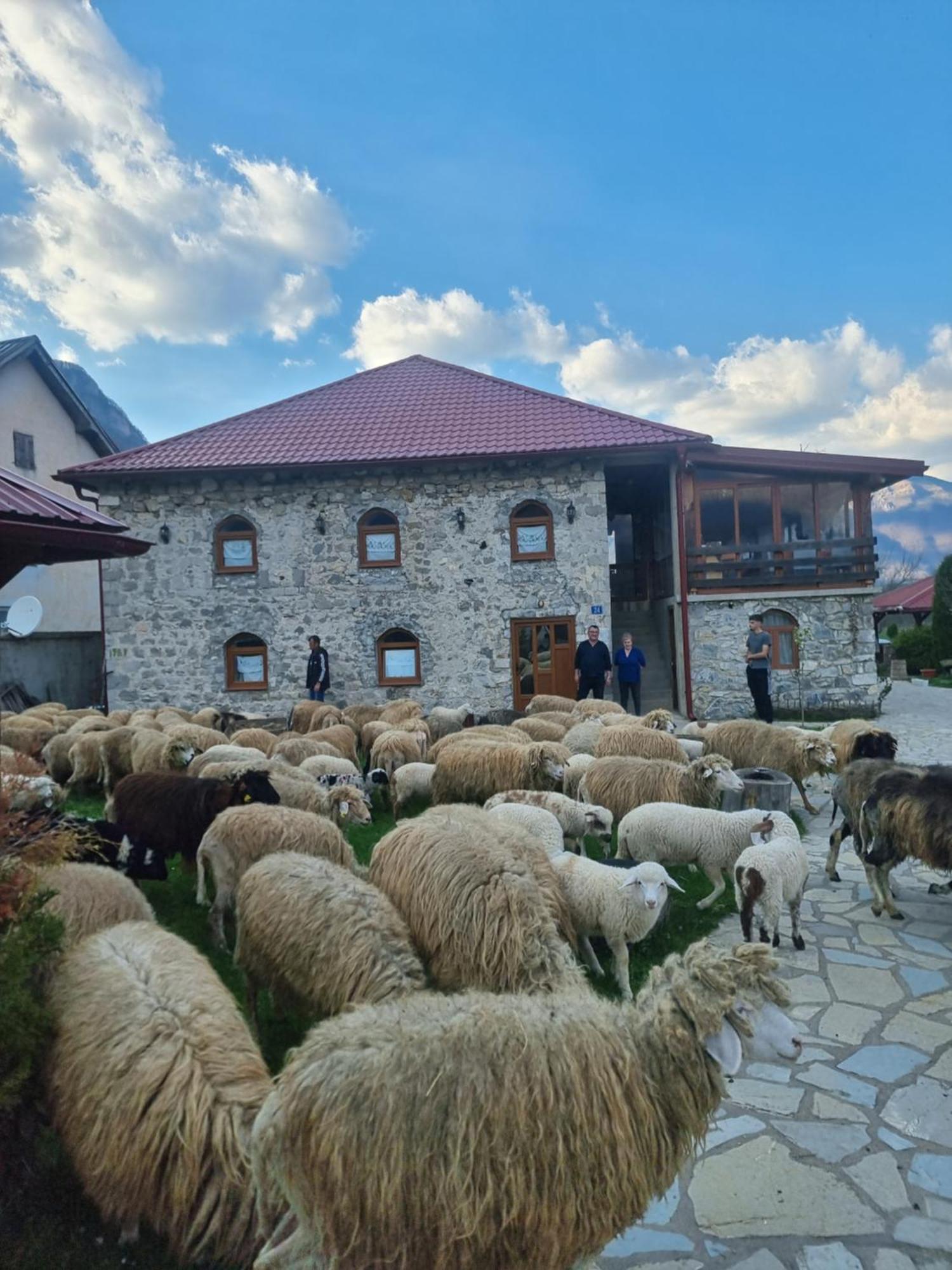 Ethno Katun Rosi Agrotourism Hotell Gusinje Exteriör bild