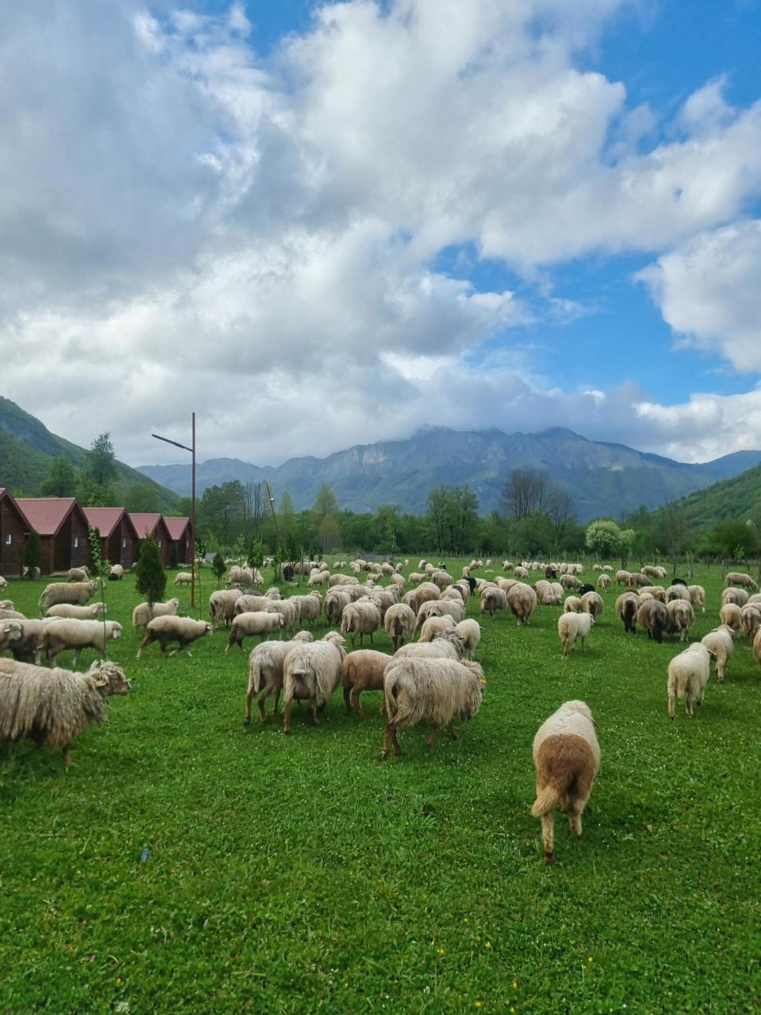 Ethno Katun Rosi Agrotourism Hotell Gusinje Exteriör bild